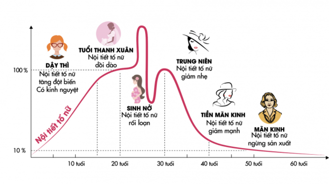 Biểu đồ thay đổi nội tiết tố nữ theo từng giai đoạn của phụ nữ từ dậy thì đến mãn kinh.