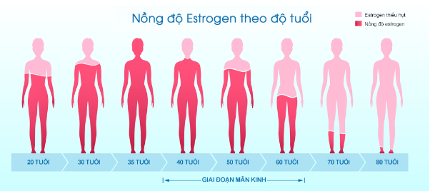 sự suy giảm nồng độ estrogen theo độ tuổi 