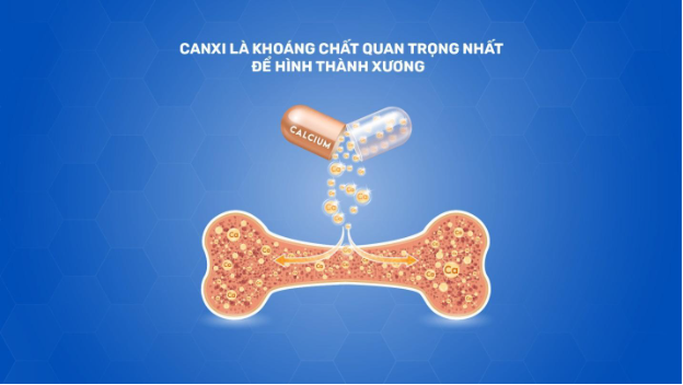 Canxi là khoáng chất thiết yếu, đóng vai trò quan trọng trong việc hình thành và duy trì hệ xương chắc khỏe.